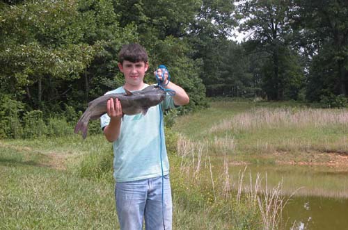 Catfish Fishing in Tennessee