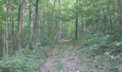 places to ride horses in tennessee