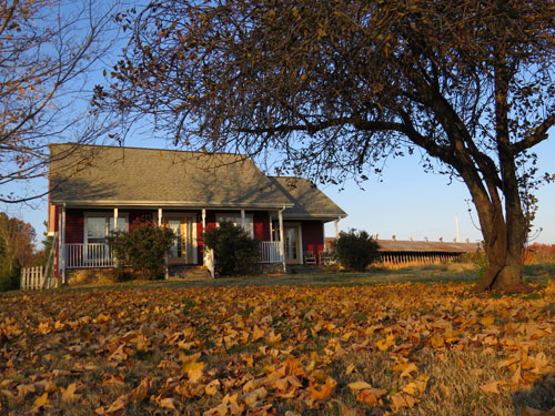 safe place to stay near nashville tn